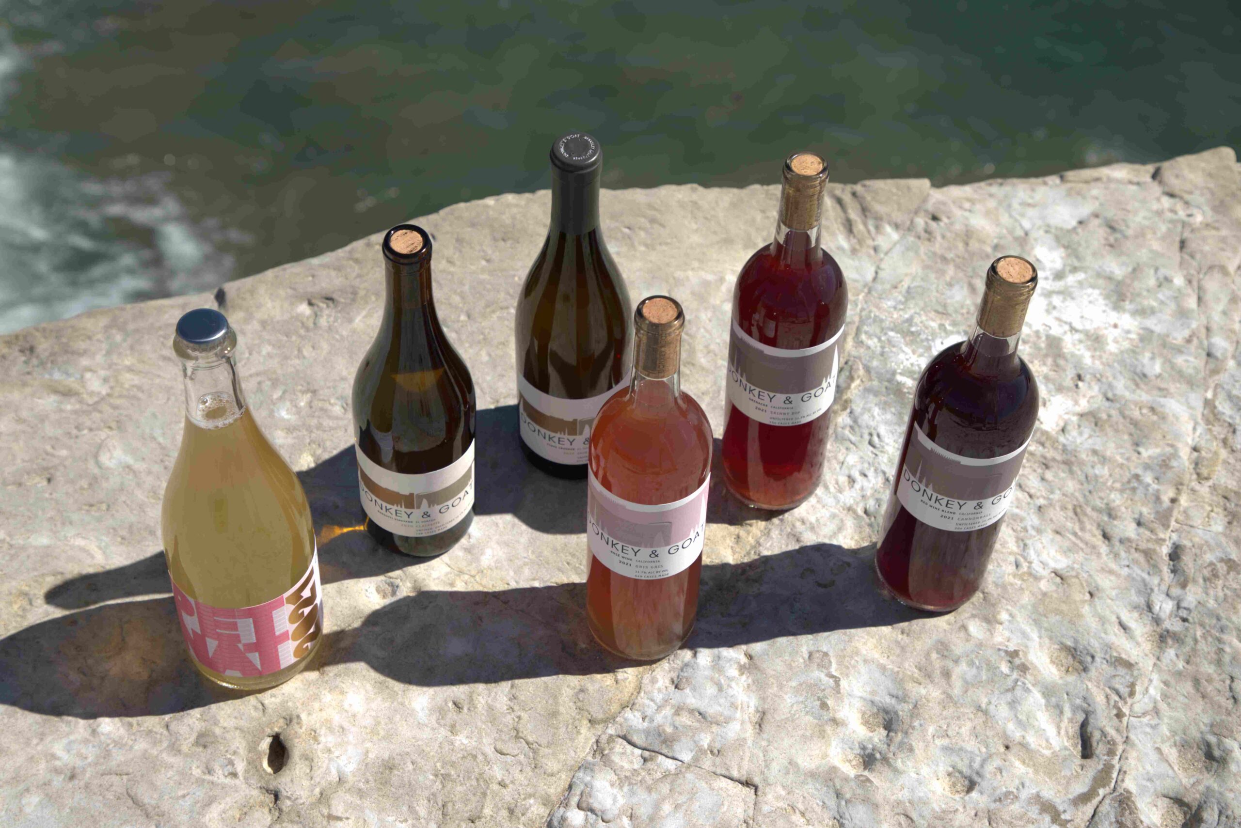 Spring wines on cliff above ocean